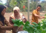 USN Kolaka Bantu Petani Membangun Mix Demplot Sebagai Sarana Utama Budidaya Sayuran Di Lamedai