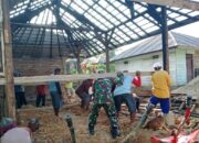 Tunjukan Kepedulian, Babinsa Di Koltim Bantu Rehap Rumah Warga